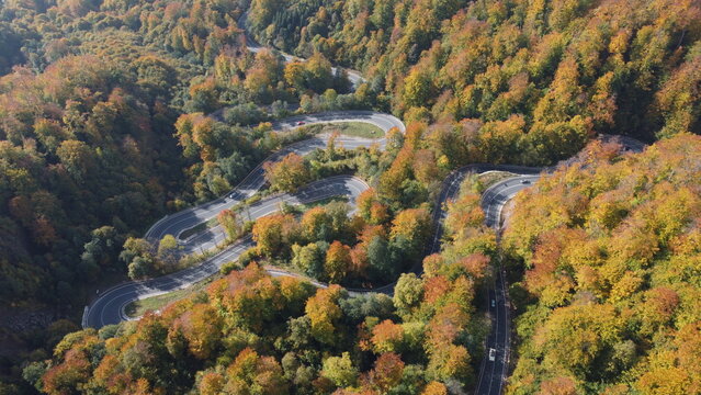 Drone view of serpentine mountain road cutting through colorful fall woodland in Maramures, Romania.