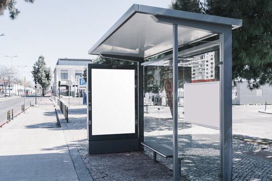 Close view of blank illuminated poster case inside city bus shelter, clean outdoor advertising mockup with street background, pine trees and transit stop details