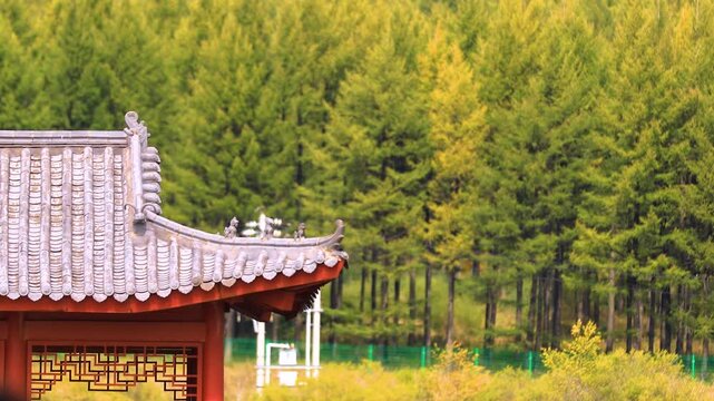 Traditional Pavilion Roof by Autumn Forest