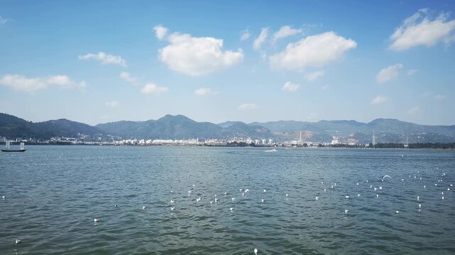 Seagulls over Dianchi Lake in Kunming, Yunnan in Dianchi Lake, Kunming, Yunnan, China