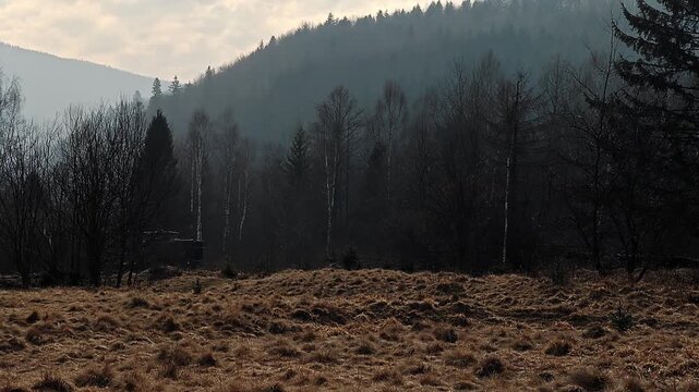 Narrow-gauge railway train with empty timber cars heading into the mountains