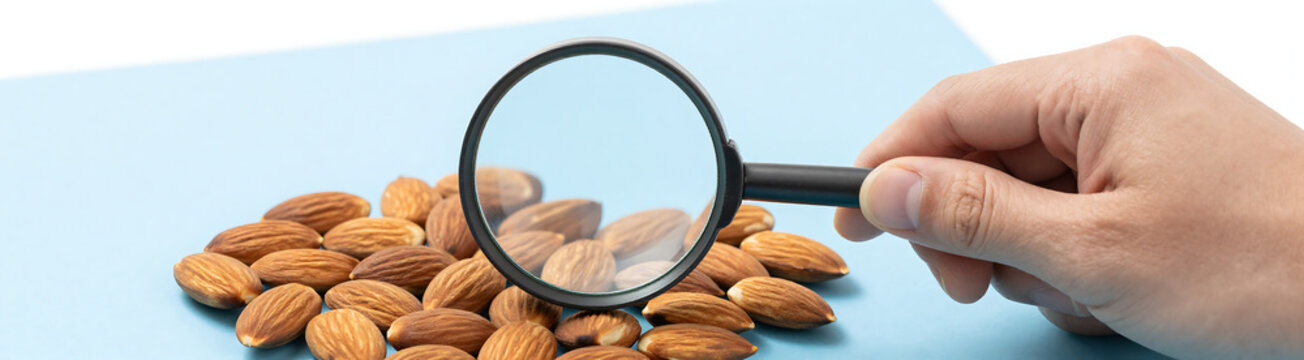 shot hand holding magnifying glass selection almonds bright blue studio backdrop lit soft diffused studio