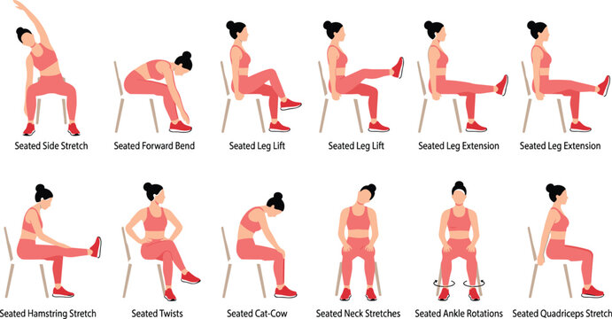 Seated Chair Yoga Poses Vector Set with Elderly and Office Friendly Stretching Exercises for Better Mobility Physical Therapy and Wellness Guides