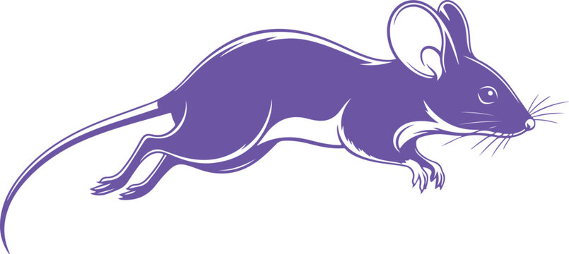Purple mouse silhouette vector illustration showing small rodent in jumping motion for animal nature pest control wildlife concept on transparent background.