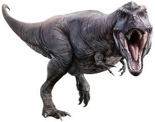 Fototapeta premium Tyrannosaurus 3D illustration
