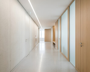 Obraz premium Modern Interior Design Bright Hallway with Wood Accents and Glass Partitions