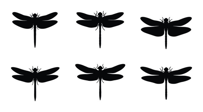 Black Dragonfly Silhouettes, Insect Vector Icons, Winged Creature Graphics, Nature Elements for Design