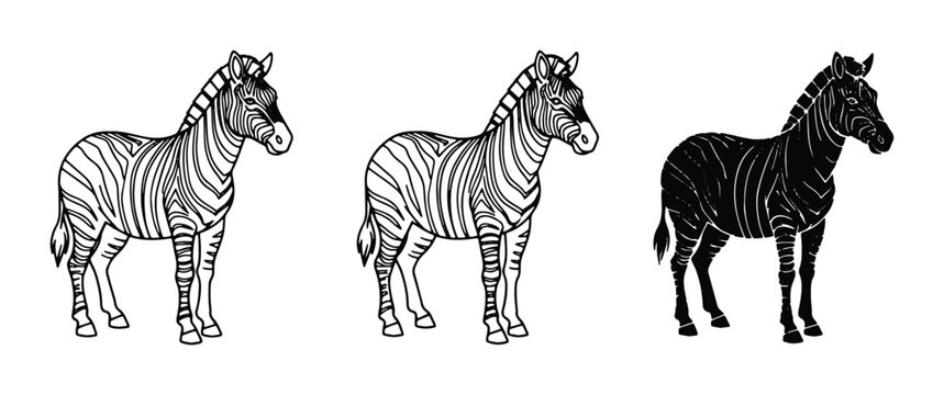 Three Zebra Illustrations: Outline, Line Art, and Silhouette, Vector Graphics for Wildlife and Safari Themes