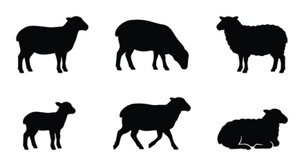 Black Sheep Silhouettes Collection, Farm Animal Vector Icons, Livestock Poses, Rural Countryside Graphics © Jahid