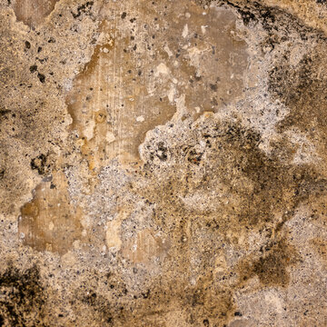 Ancient mineral texture with eroded stone surface and organic weathered patterns. Detail of a historic wall at Fortaleza do Monte in Macau.