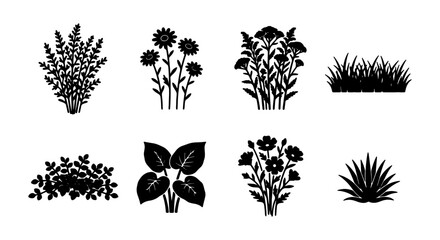 Botanical Vector Icons: Floral & Grass Silhouettes for Nature Design © Arif