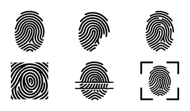 Set of 6 diverse fingerprint vector icons, digital identity, security, biometrics, identification, personal data, graphic elements