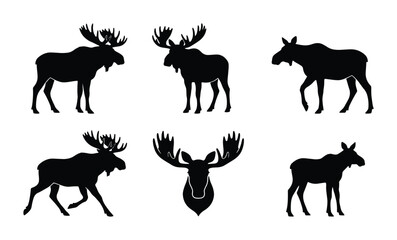 Fototapeta premium Moose Silhouette Collection, Wildlife Animal Vector Icons, Majestic Forest Creature Graphics for Nature Designs