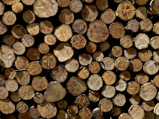 Fototapeta premium textured background of round sawn cuts of wooden firing lines of different diameters, neatly stacked in a woodpile