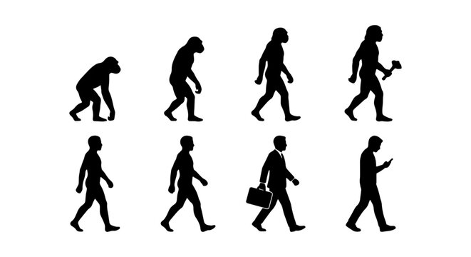 Human Evolution Stages, From Ape to Modern Man, Silhouette Icons Set