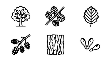 Outline Tree Icons, Leaf, Twig, Bark, Seeds, Cones, Nature Elements © Nargis