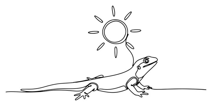 Lizard looking at the sun in minimalist continuous line art style
