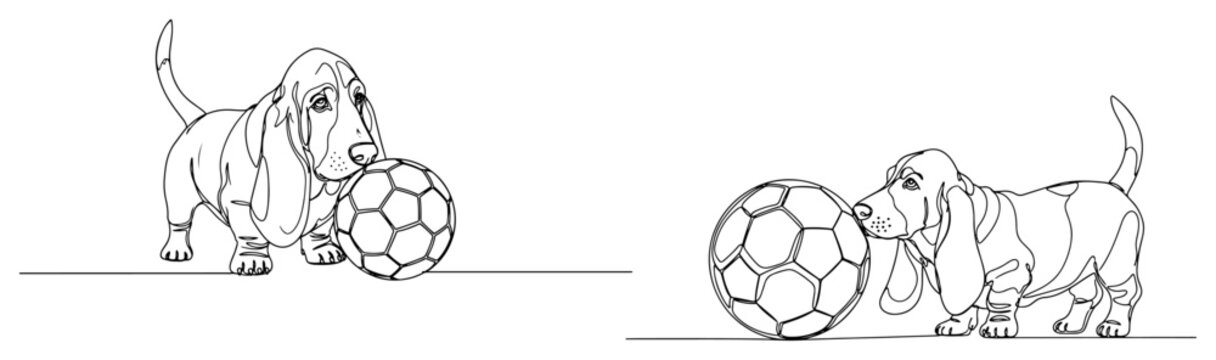 Basset hound dogs playing with soccer ball in continuous line art style