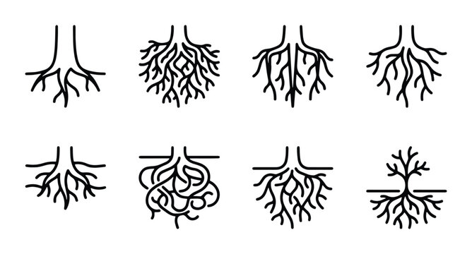 Diverse Tree Root Systems, Organic Growth Patterns, Plant Biology Icons, Nature Elements Set