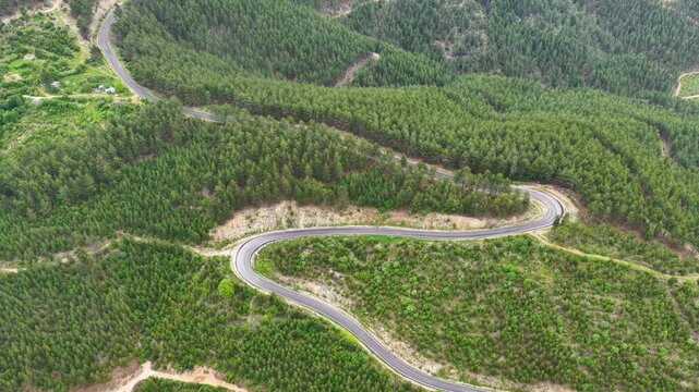 A bird's-eye view of a winding mountain road that curves in an S-shape through lush pine forests, captured in a cinematic and mesmerizing drone shot.