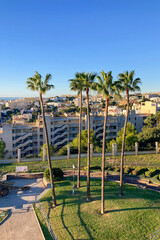 Fototapeta premium A peaceful stroll through Parque de la Batería reveals green landscapes, open paths, and relaxed urban nature in Torremolinos, Spain.