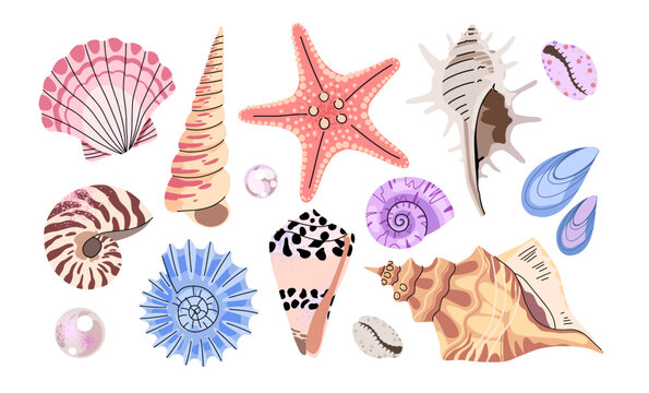 Trendy flat vector illustration of seashells and starfish collection. Coast hand drawn elements, summer beach vacation and marine life. Minimalist printable patch set