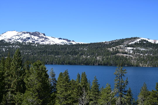 beautiful forest, mountains and rivers off highway 88