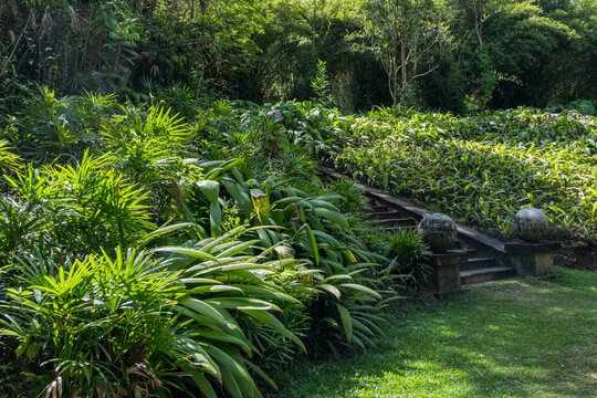 Brief Garden near Bentota, Sri Lanka