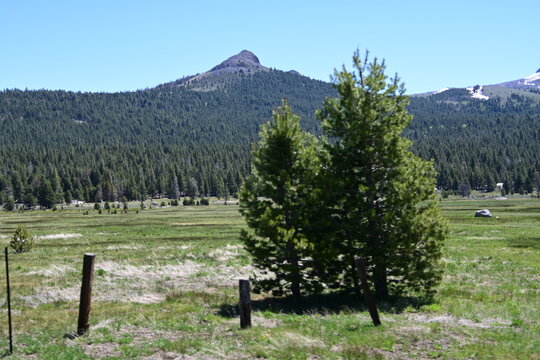 beautiful forest, mountains and rivers off highway 88