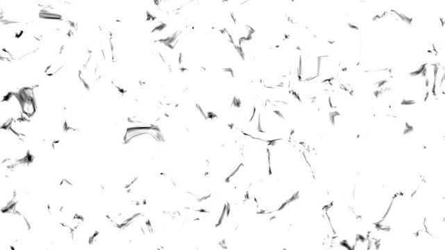 Minimalist abstract background with dynamic black energy sparks and liquid paint shards shifting rapidly on a white screen, perfect for creative branding animations and art overlays