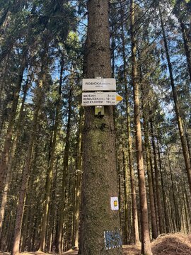 Forest trail sign on a tree pointing to Rozhledna Rosička (CZ) and other hiking destinations