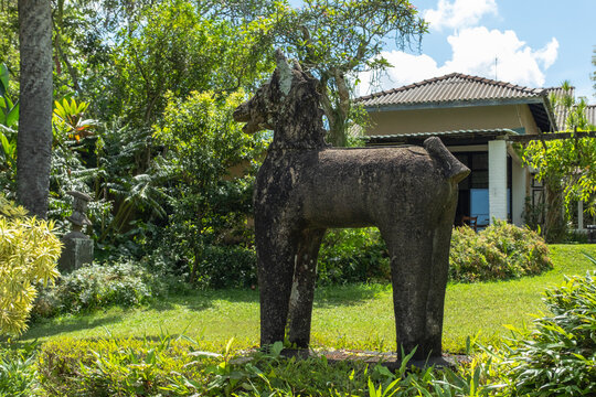 Brief Garden near Bentota, Sri Lanka