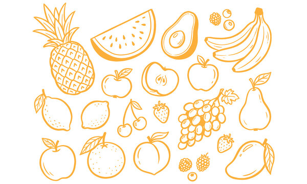 A vibrant collection of various fresh fruits in a simple line drawing style isolated on white background