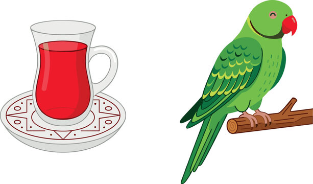 Traditional Turkish Tea Glass and Green Parrot Vector Illustration Set Featuring Cultural Beverage and Tropical Exotic Bird Artwork