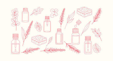 Sketch of aromatherapy essential oil glass bottles with lavender and eucalyptus leaves elements © RUMA