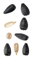Fototapeta premium Sunflower seeds and kernels transparent background