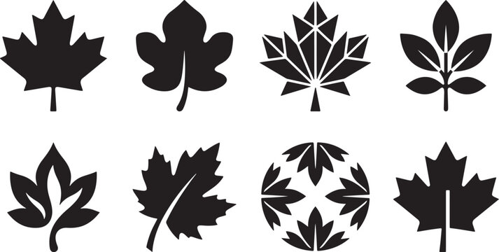 Abstract swirl maple leaf graphic set