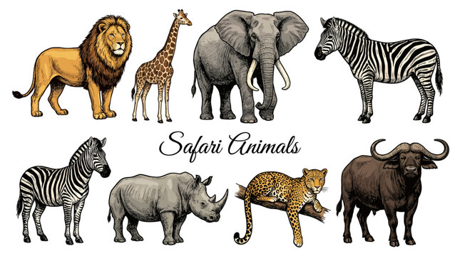 Set of Hand Drawn African Safari Animals Including Lion, Elephant, Giraffe, Zebra, Rhino, Leopard, and Buffalo, Detailed Vector Illustration Isolated on White Background