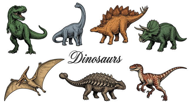 Set of Vintage Hand Drawn Dinosaur Illustrations, Engraved Vector Characters including T-Rex, Triceratops, and Stegosaurus on White Background