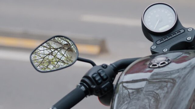 Close up view of a motorcycle mirror, handlebar controls, speedometer, and reflective fuel tank