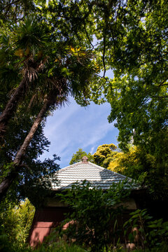 横浜2657　浄林寺3　廃寺の風景