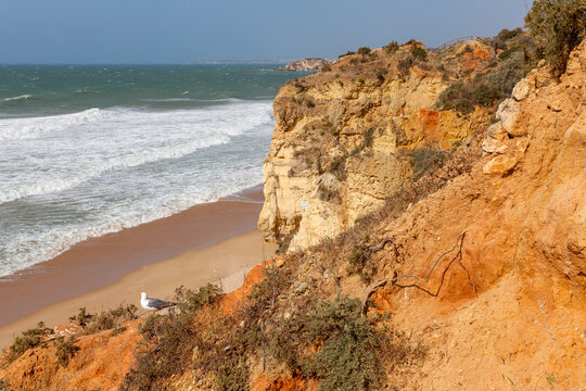 Steilk&uuml;ste zwischen Praia da Rocha und Praia do Vau, Algarve