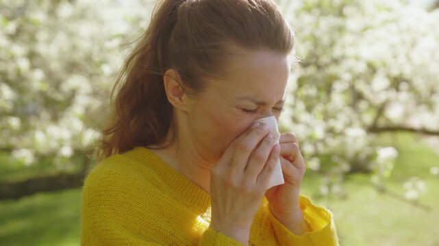 A woman in a yellow sweater experiences a sneezing fit caused by pollen while surrounded by white blossom trees in a sunny outdoor setting.