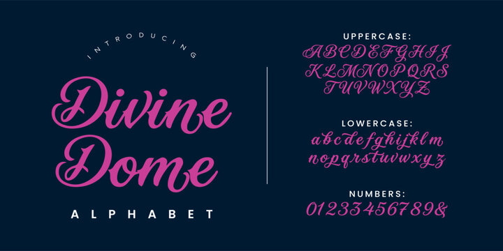 Divine dome classic script font alphabet elegant wedding invitation calligraphy vector design