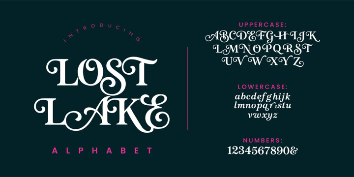 Lost lake decorative vintage display font alphabet with ornate swash curls vector design