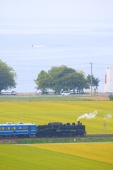 Fototapeta premium 黄金色の稲穂と広大な湖を背景に煙を上げて走るSL（蒸気機関車）