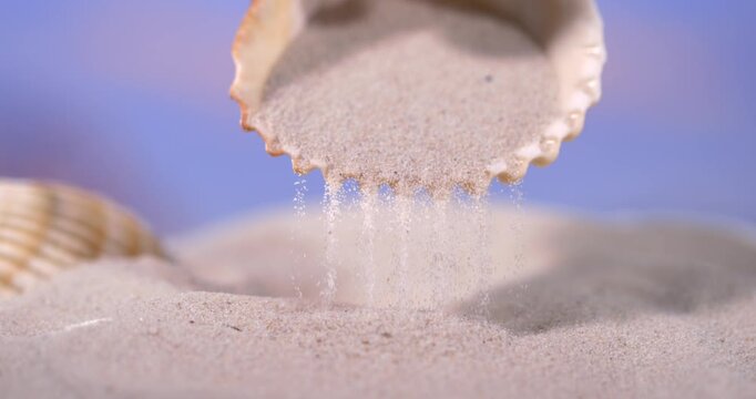 Super Slow Motion Scallop Shell Releasing Sand, Cinematic Slow Motion
