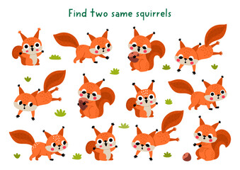 Obraz premium Find two same squirrels. Forest animals matching activity for children. Woodland educational quiz worksheet for kids for attention skills. Wildlife printable game with cute animal