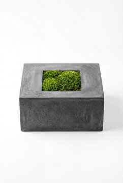 Modern dark grey concrete block planter with bright green moss inside isolated on pure white background for biophilic design and minimalist eco concepts