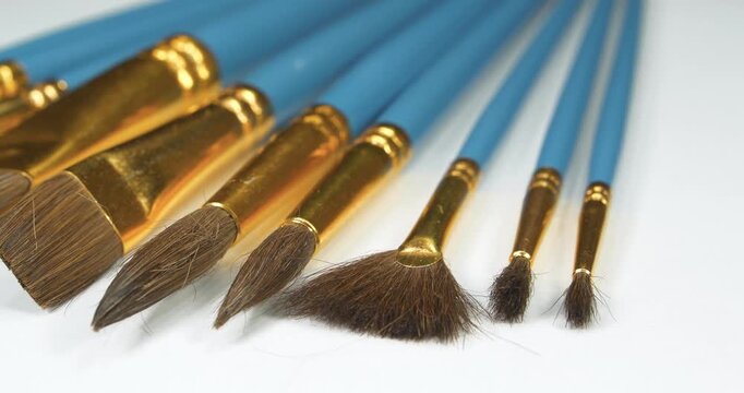 Horse hair brushes in various sizes and shapes. Natural painting brushes